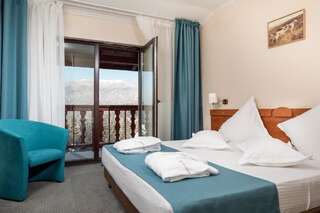 Отель Hotel Rozmarin Предял Двухместный номер с 1 кроватью-8