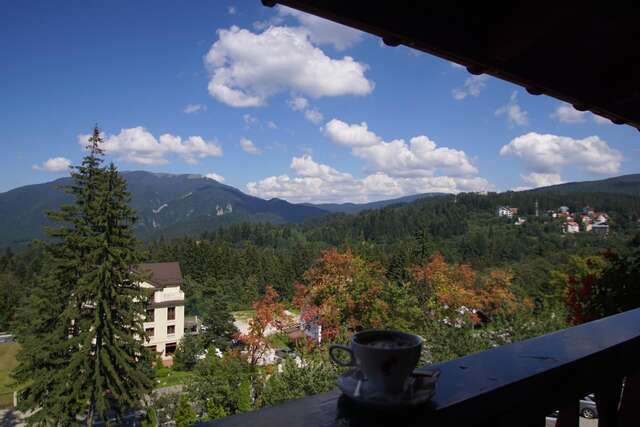 Отель Hotel Rozmarin Предял-13